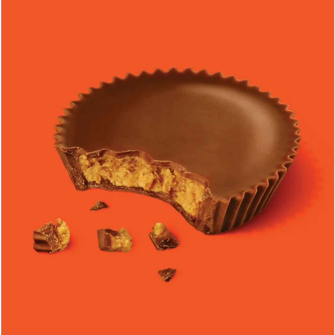 REESE'S Snack Size Peanut Butter Cups, 19.5 Ounces (246-00012) - Image 5