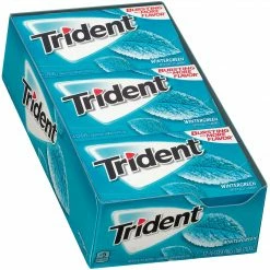 Trident Sugar Free Wintergreen Gum, 14 Pieces/Pack, 12/Pack (304-00058)